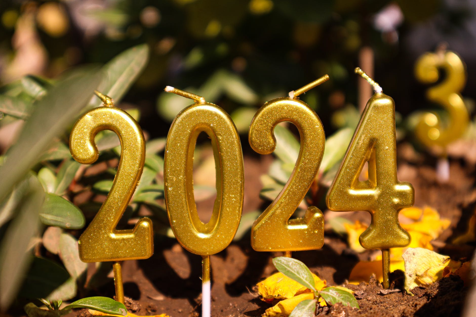 2024 New Spiritual Commitment to a new, optimistic, nature-based spirituality